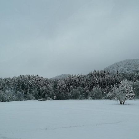 Schwarzwald Appartement Steinen  Екстер'єр фото