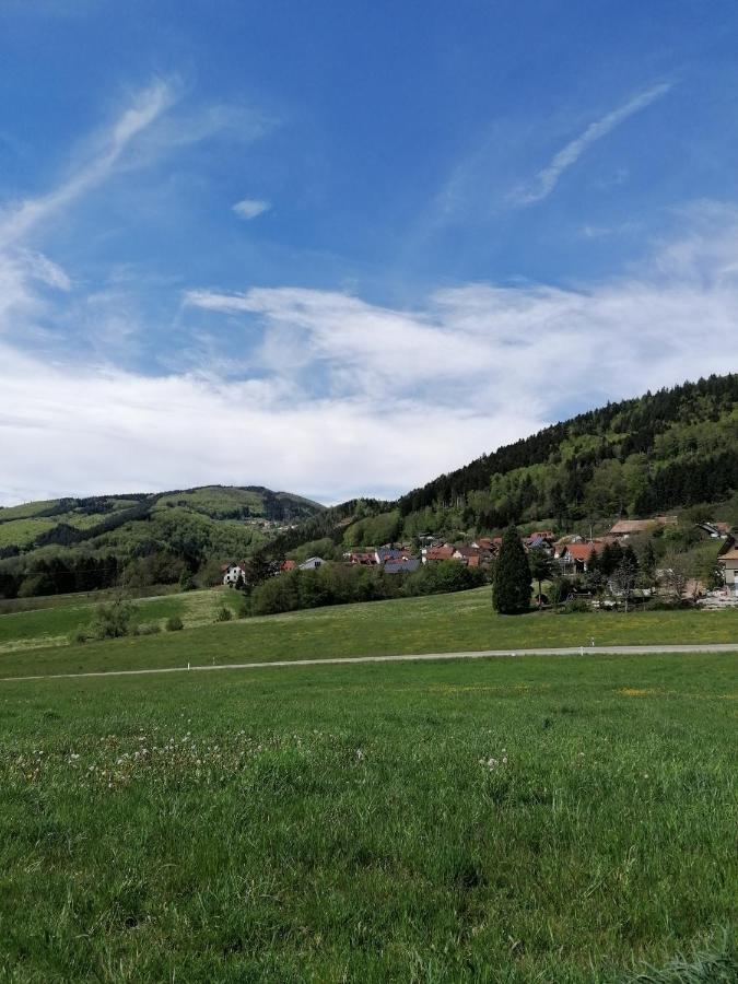 Schwarzwald Appartement Steinen  Екстер'єр фото