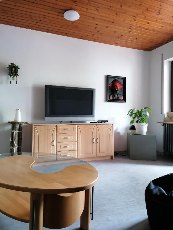 Schwarzwald Appartement Steinen  Екстер'єр фото