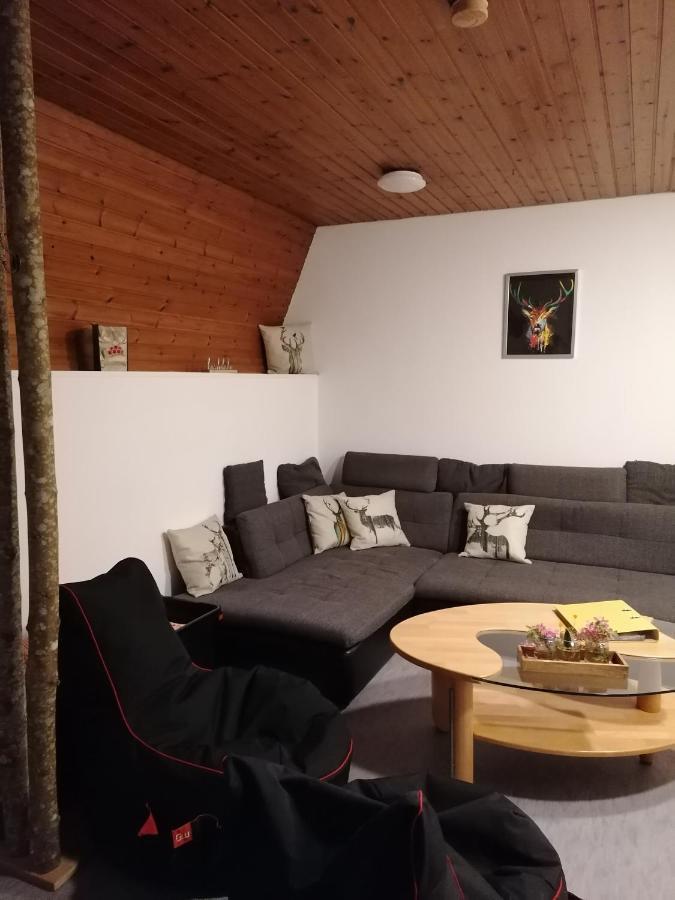 Schwarzwald Appartement Steinen  Екстер'єр фото