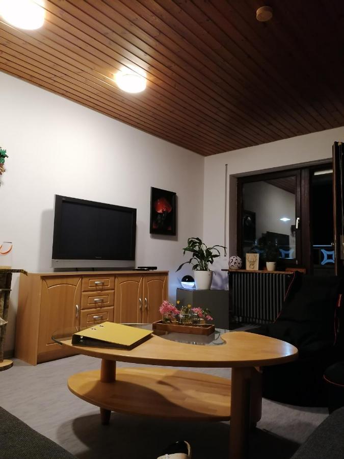 Schwarzwald Appartement Steinen  Екстер'єр фото